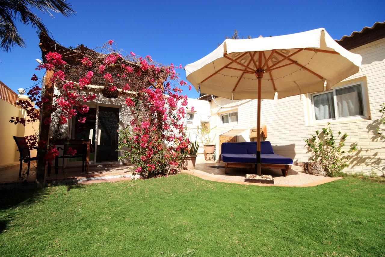 Deluxe Seahorse Apartment - Lagoon Villa ดาฮับ ภายนอก รูปภาพ